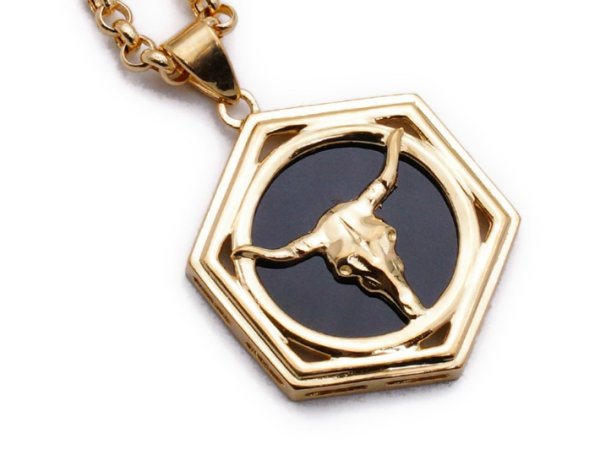 画像2: K18  オニキス バッファロー スカル ペンダント (2)