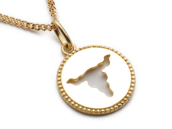 画像2: K18 イエローゴールド バッファロー スカル コイン ペンダント (2)