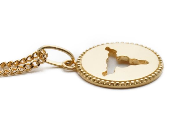 画像4: K18 イエローゴールド バッファロー スカル コイン ペンダント (4)