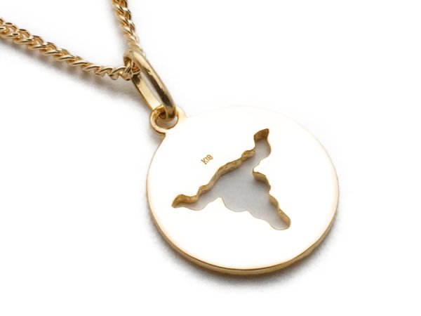 画像3: K18 イエローゴールド バッファロー スカル コイン ペンダント (3)