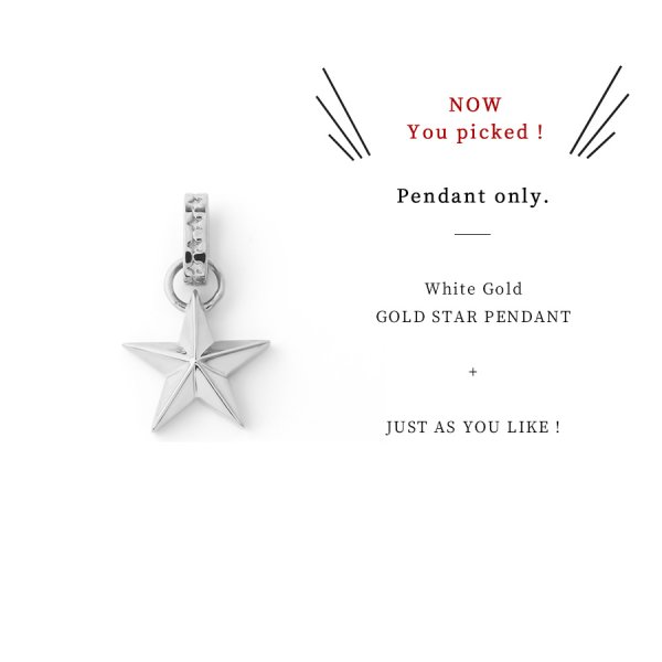 画像9: VJ【ブイジェイ】メンズ K18 ホワイトゴールド / シルバー925 プラチナ コーティング ゴールドスター ペンダント (9)